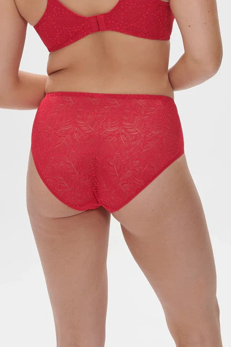 Back of the Comete Flat Lace Full Brief