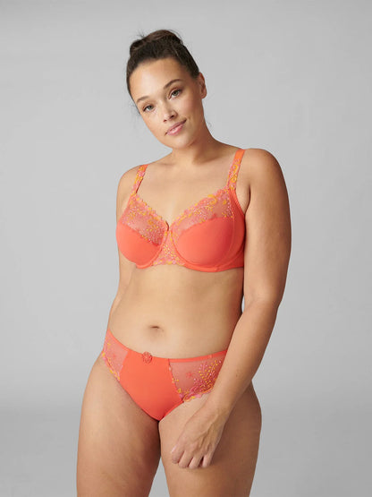 Women is wearing Delice Embroidered Brief back picture with matching  soft cup bra(sold separately) 