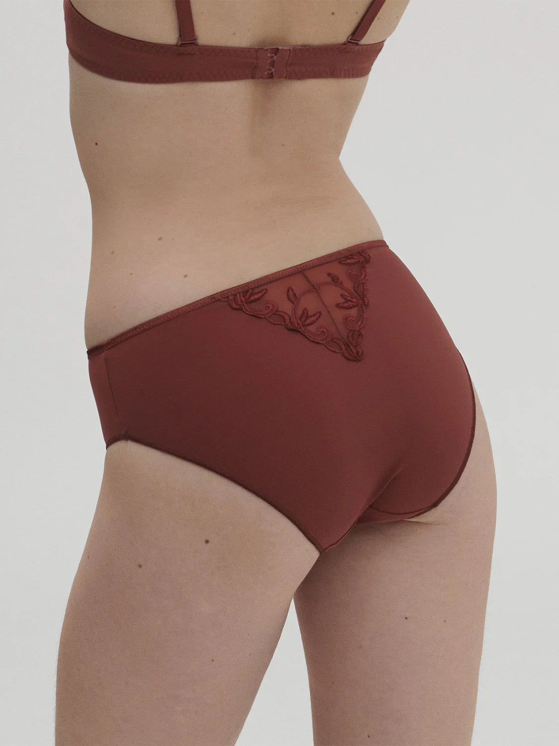 Model is wearing Andora Embroidered Retro Brief back picture with matching bra (sold separately) 