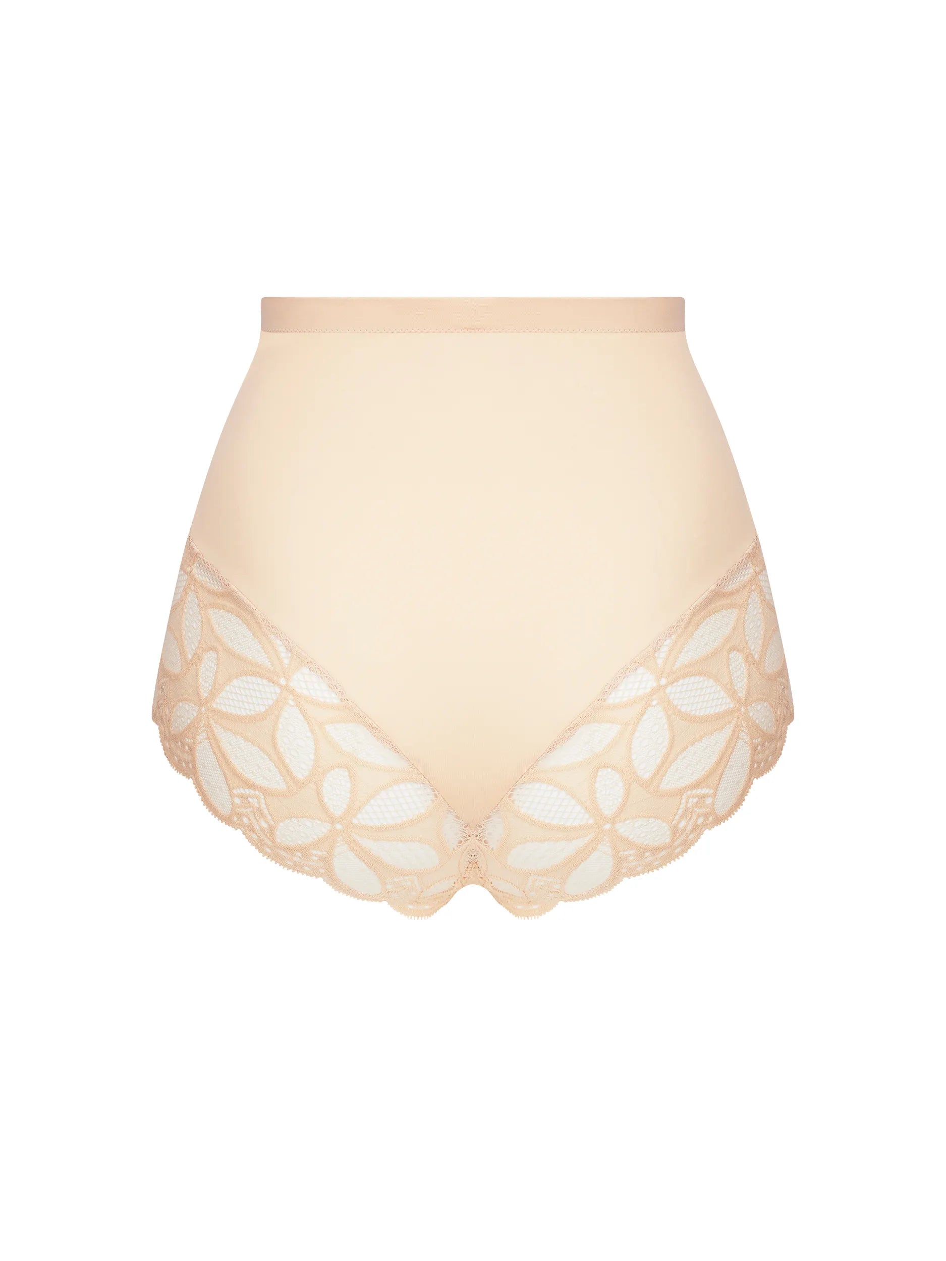 Stricto Sensuelle Light  Control Brief back picture